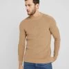 Pier One Jumper - Camel -Clothing Promotion Shop afb23d147e064d1d8e181dbfe0c33fbb